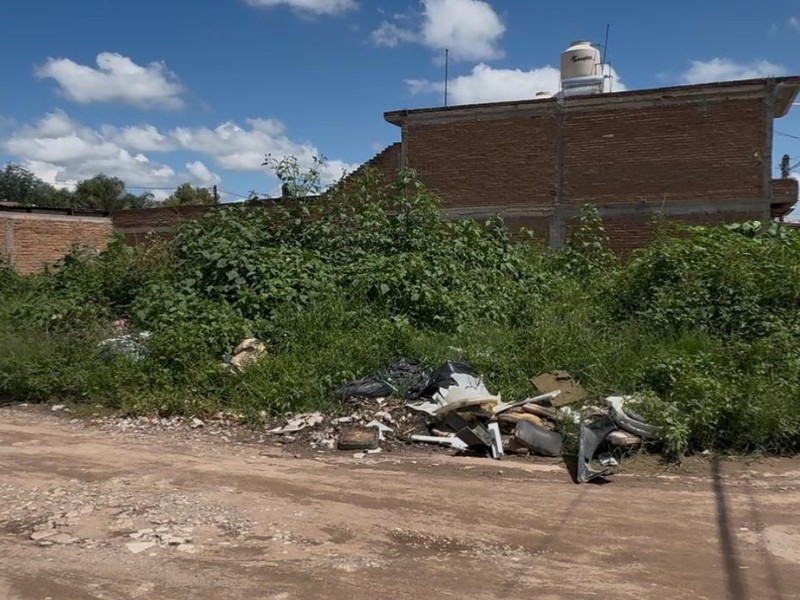 Vecinos denuncian foco de infección en la colonia José Ángel Leal
