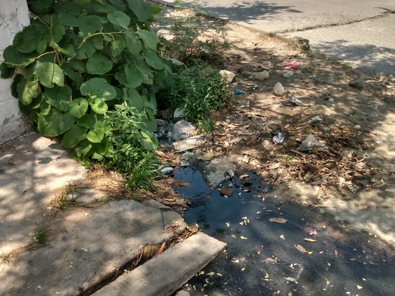 Vecinos denuncian foco de infección por aguas negras