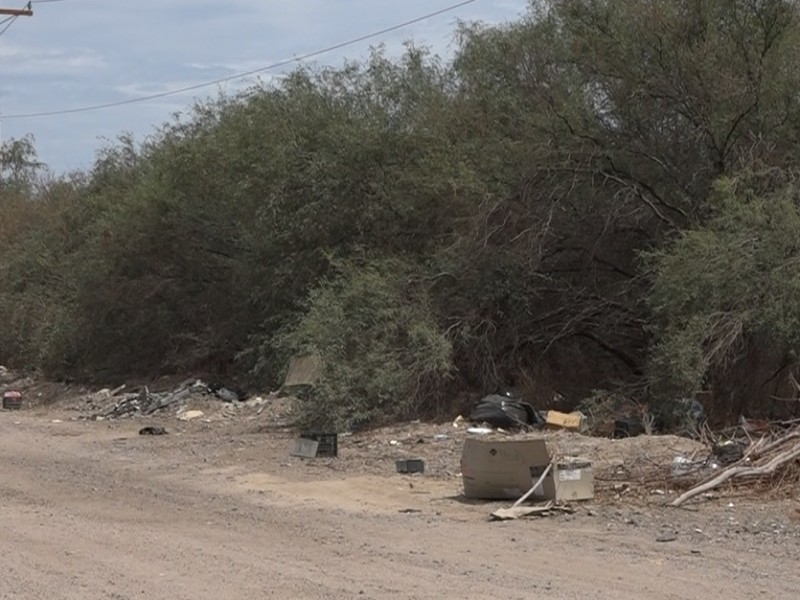 Vecinos denuncian incremento en tira de basura y  escombro