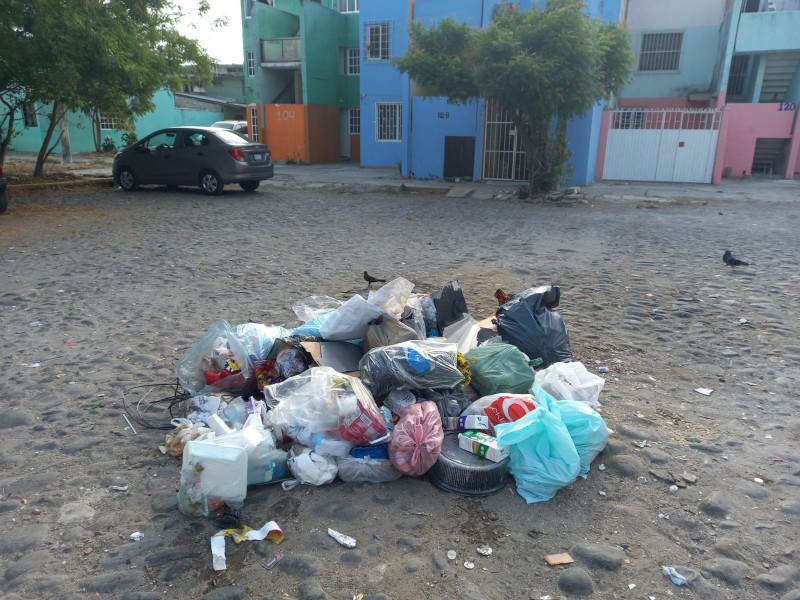 Vecinos denuncian la falta de recolección de basura