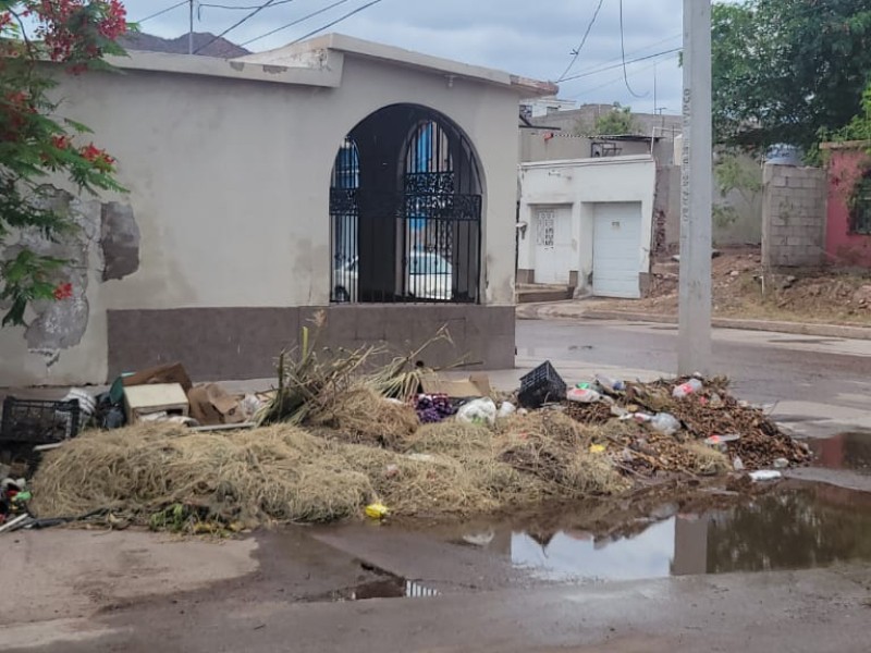 Vecinos de la avenida 6 denuncian 