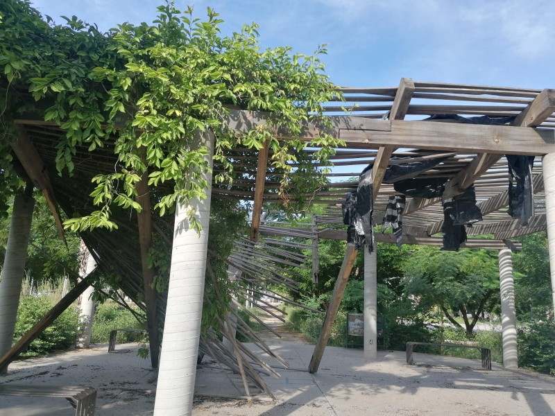 ¡Vecinos en peligro! Parque de Viñedos sufre abandono total