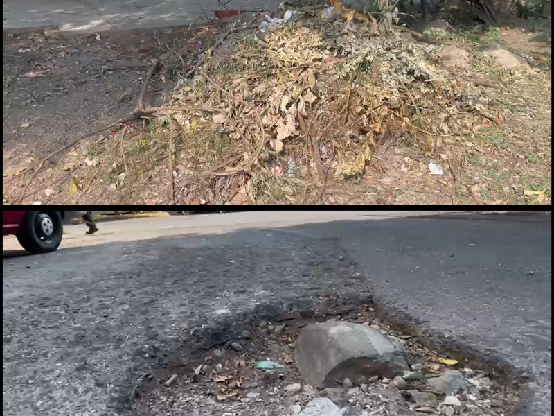 Vecinos exigen atención urgente a áreas verdes en Fraccionamiento Las Aves: