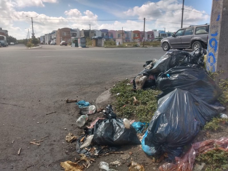 Vecinos piden la recolección de basura sea diaria.