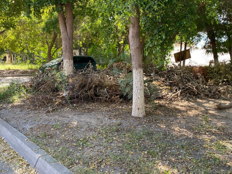 Vecinos piden limpieza de área verde en Las Delicias