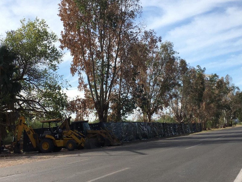 Vecinos piden parar daños a corredor ecológico del Macario Gaxiola