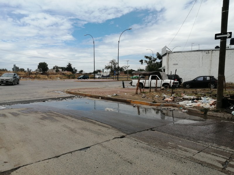 Vecinos reportan acumulación de basura