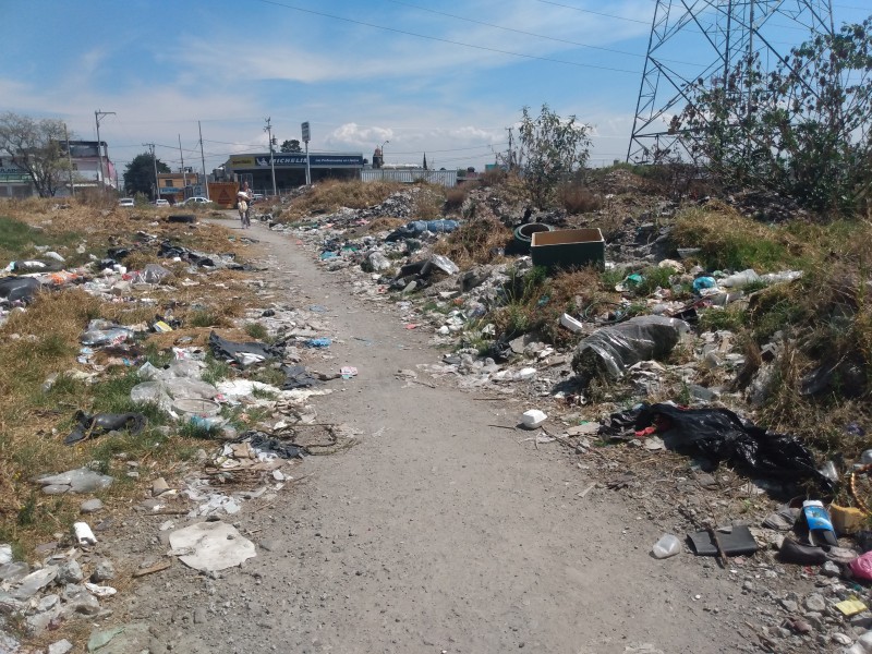 Vecinos reportan tiradero de basura en Las Torres