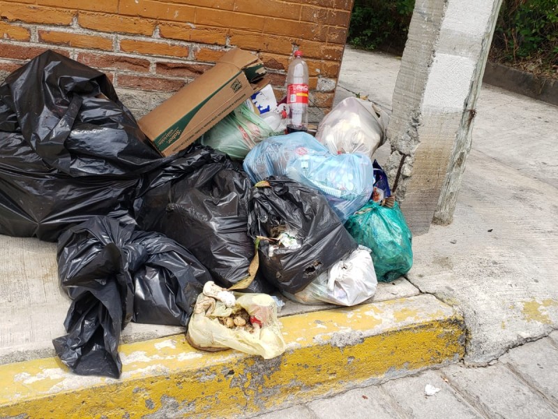 Vecinos se quejan por falta de recolección de basura