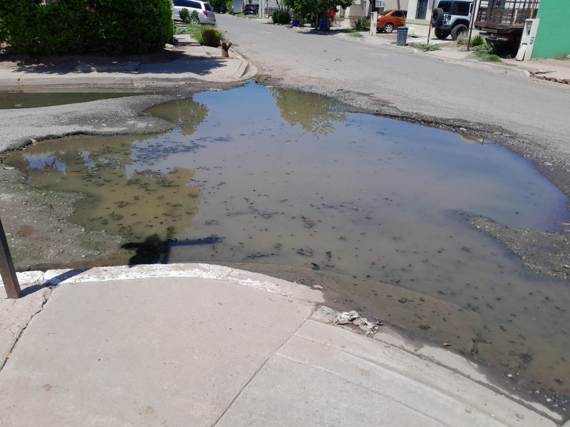 Vecinos viven con ríos de agua negra frente a casas