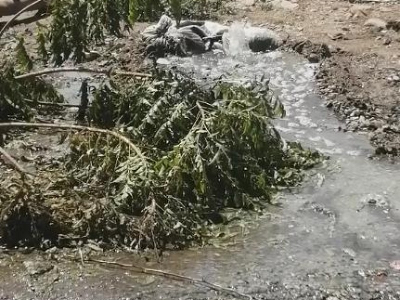 Vecinos viven entre aguas negras