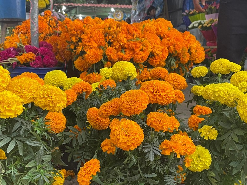 Vendedores de flor esperan mejoría en sus ventas