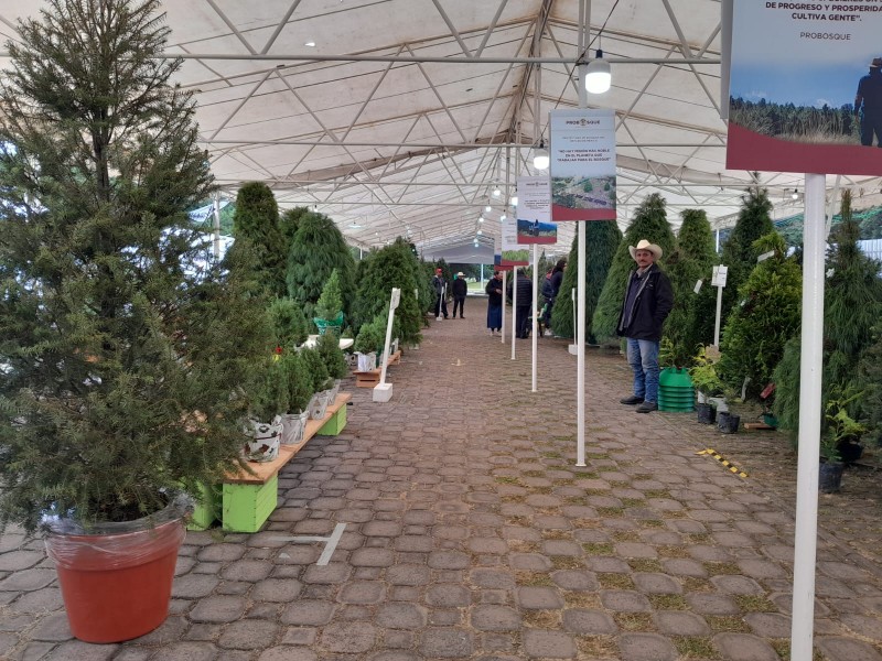 Vendedores de la Feria Navideña y Artesanal, reportan bajas ventas