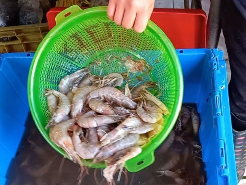 Vendedores de mariscos ven ligero aumento en ventas