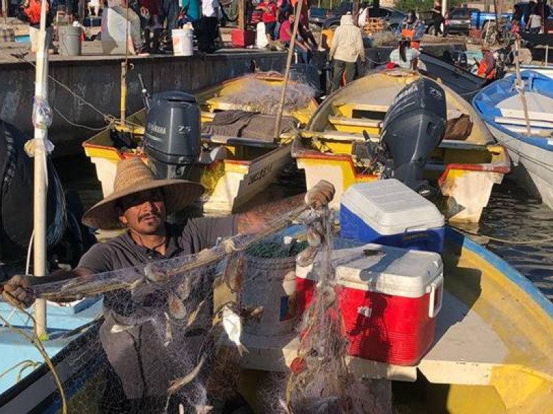 Venden pescadores producto de forma particular al no haber comercialización