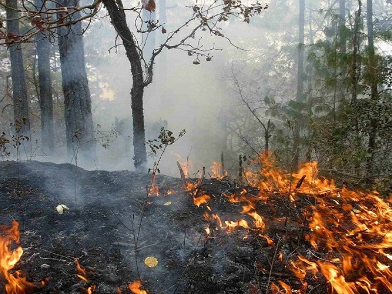 Vendrá temporada crítica incendios forestales para Nayarit; se esperan 50
