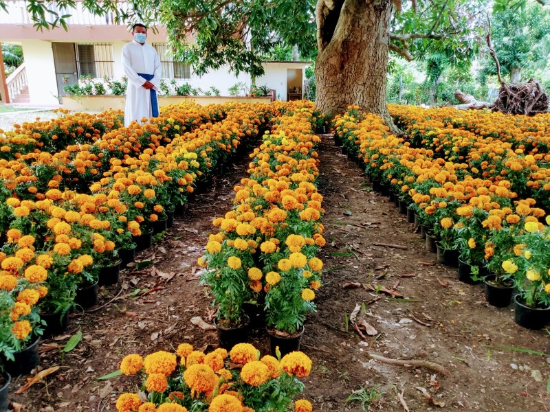 Venta con causa y promoción de las tradiciones mexicanas