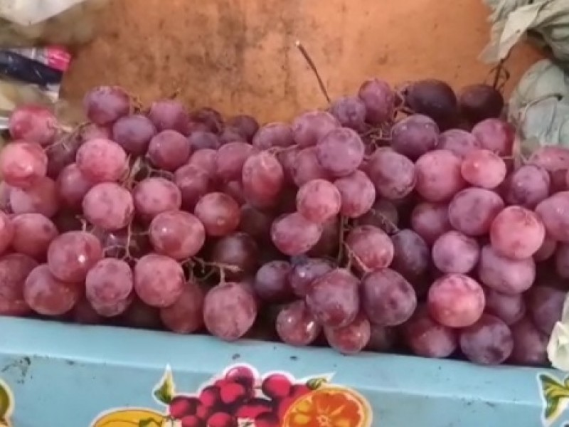 Venta de uva no es como se esperaba, tras crisis