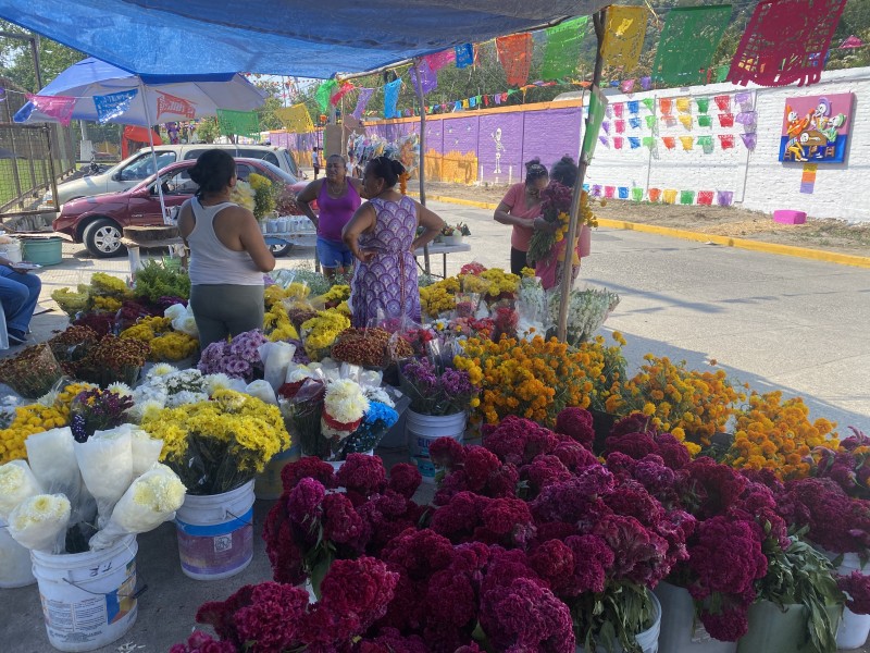 Venta en flor de cempasúchil disminuyó al 50% en Zihuatanejo