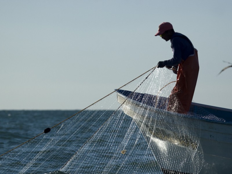 Venta y producciòn de marisco afectada por Covid-19