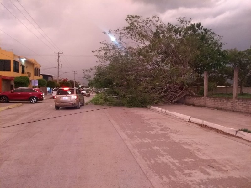 Ventarrón deja daños en Escuinapa