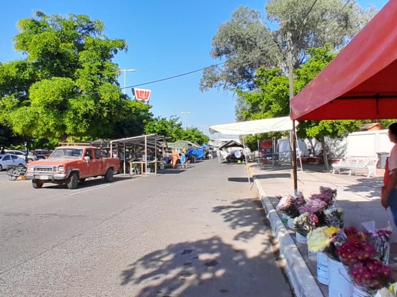 Bajas ventas, preocupa a comerciantes de flores en Guasave