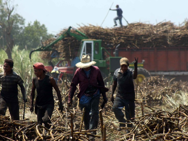 Veracruz celebra decreto que protege a productores de azúcar
