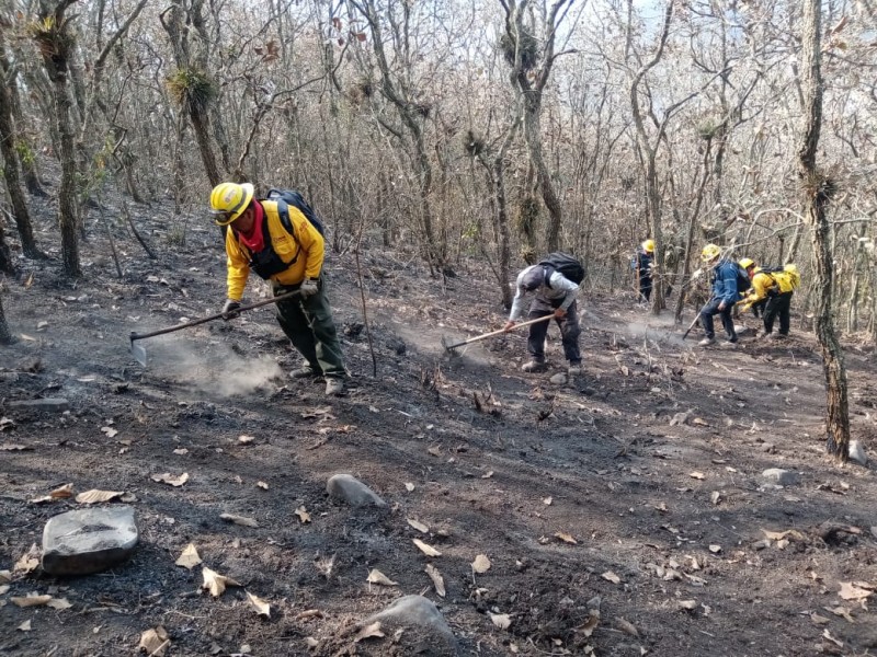 Veracruz con 5 incendios forestales activos