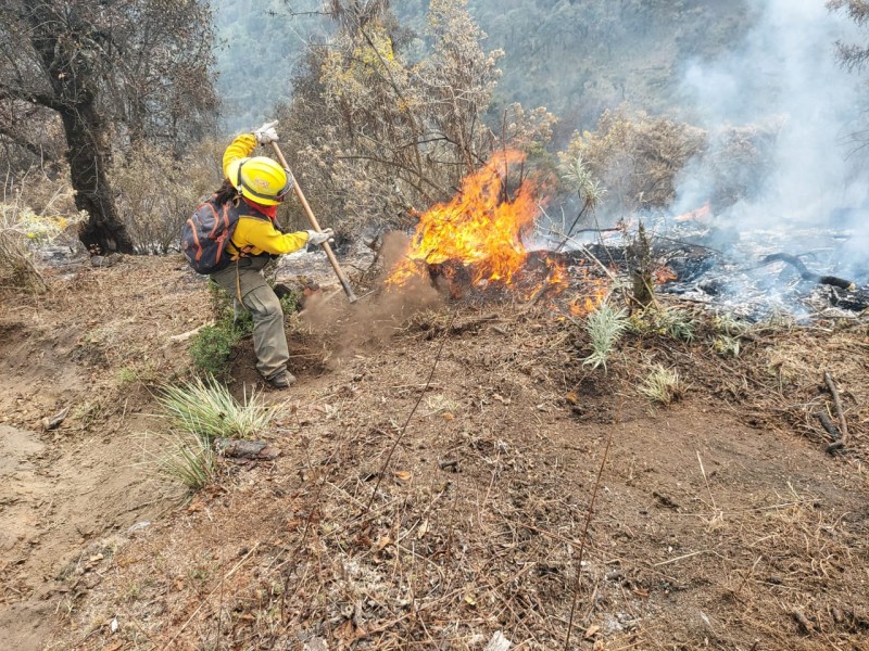 Veracruz con más de 50 incendios forestales en 2023