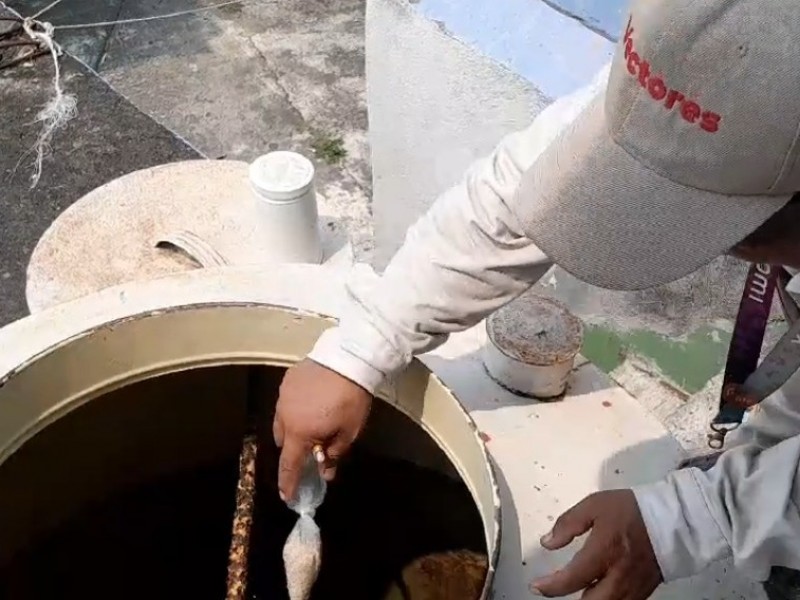Veracruz entre los cinco estados con mayor confirmación de Dengue
