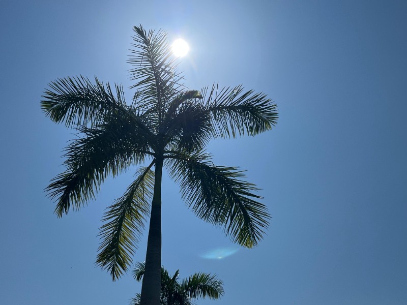 Veracruz norte: ambiente caluroso y posibles tormentas