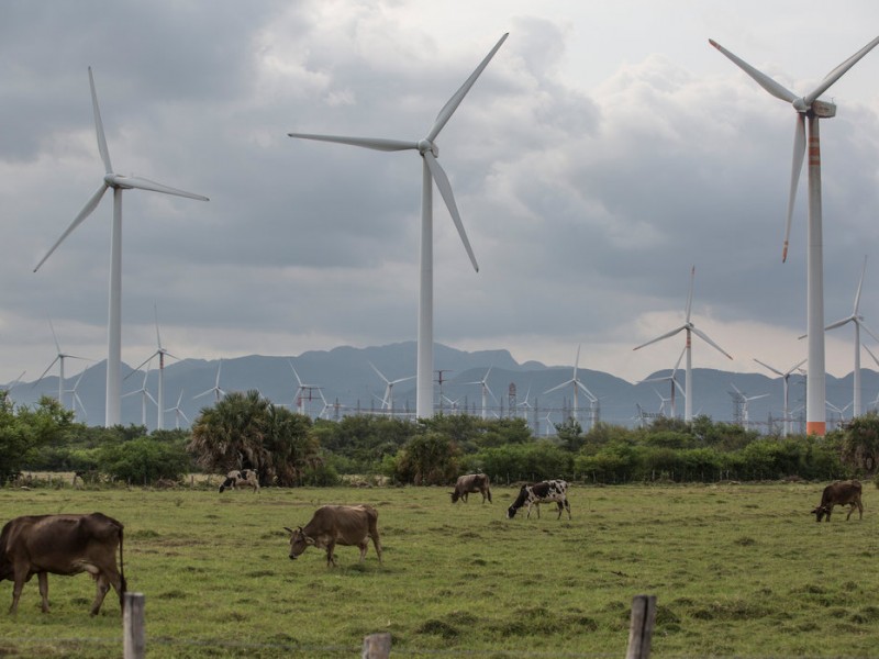 Veracruz potencial para generar energía limpia