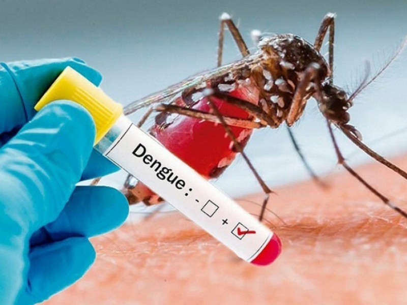 Veracruz segundo lugar en casos de dengue
