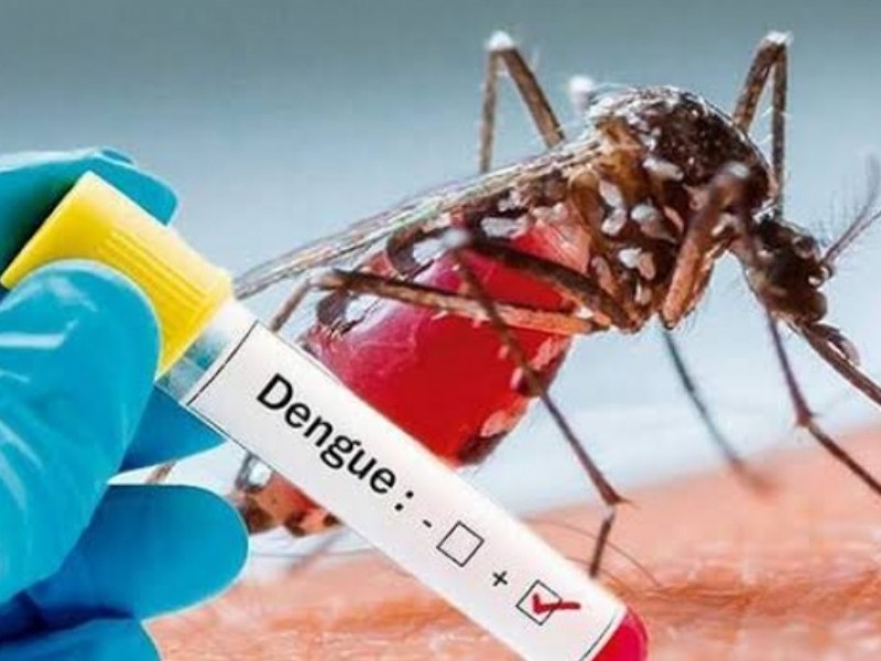 Veracruz segundo lugar nacional en casos de dengue