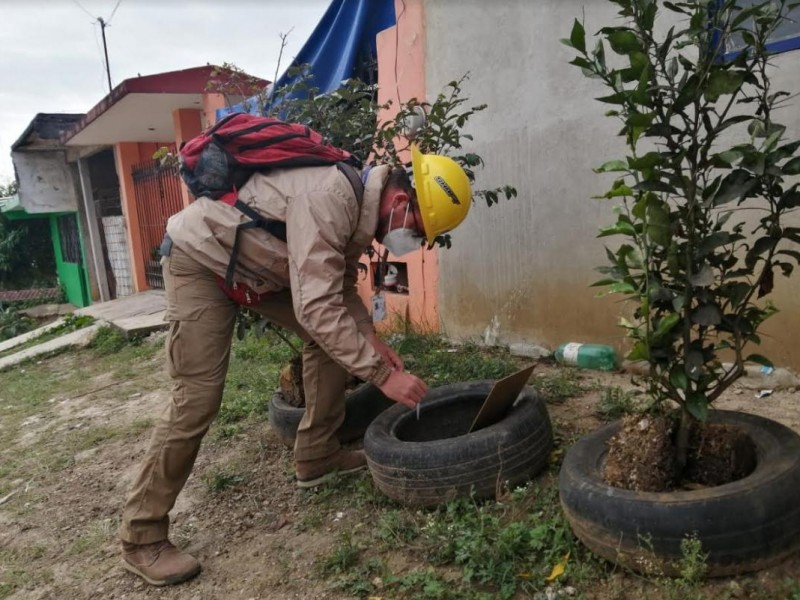 Veracruz, sexto lugar nacional por casos de dengue