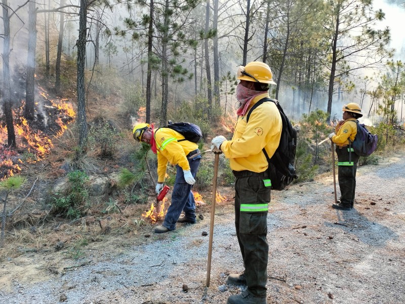 Veracruz suma 161 incendios forestales