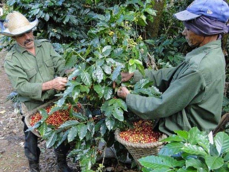 Veracruz tendrá impulso en sector petroquímico y agropecuario