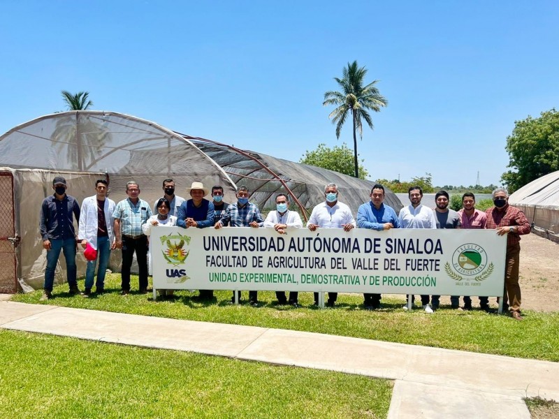 Verano científico en Facultad de Agricultura del Valle del Fuerte