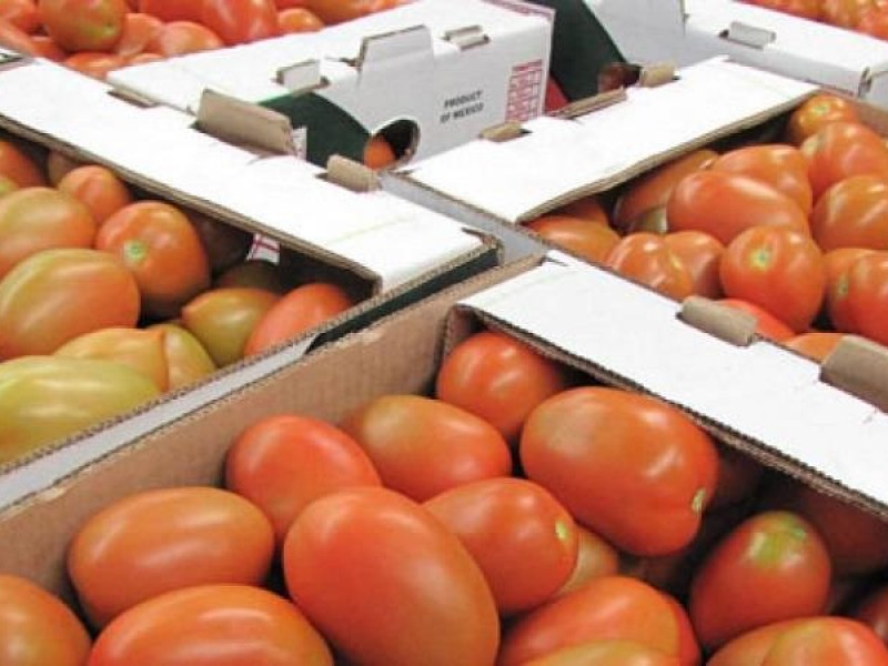 Verduras de exportación se vende en mercados por contingencia