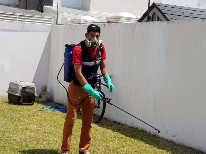 Verifica coprisem a fumigadores y controladores de plagas