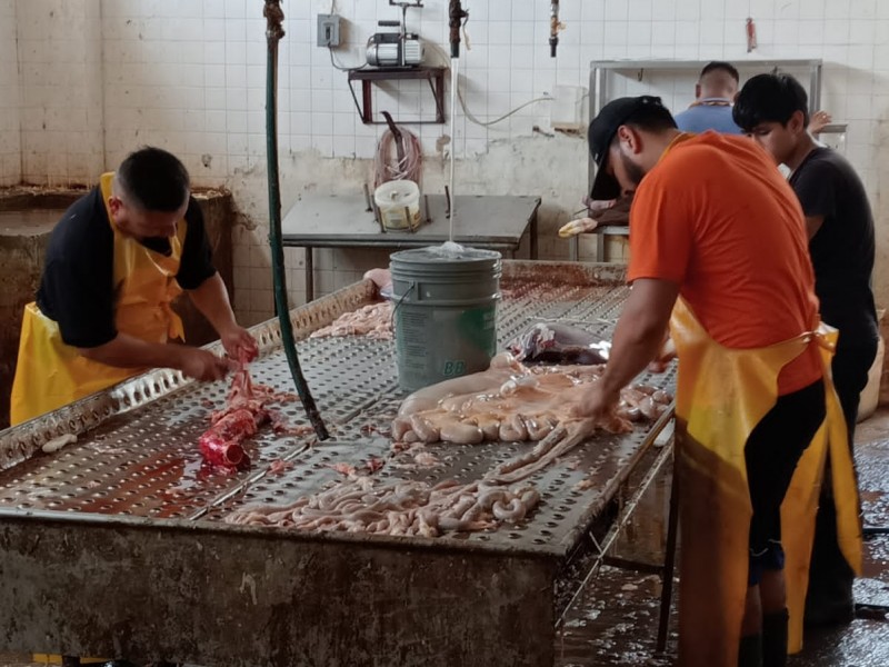 Verifican condiciones sanitarias de mercado y carnicerías de Apatzingán