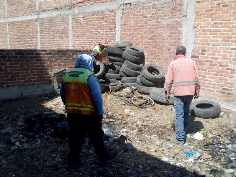 Verificarán acciones contra el dengue, zika y chikungunya