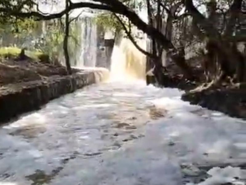 Vertidos tóxicos amenazan la vida del río en El Oro