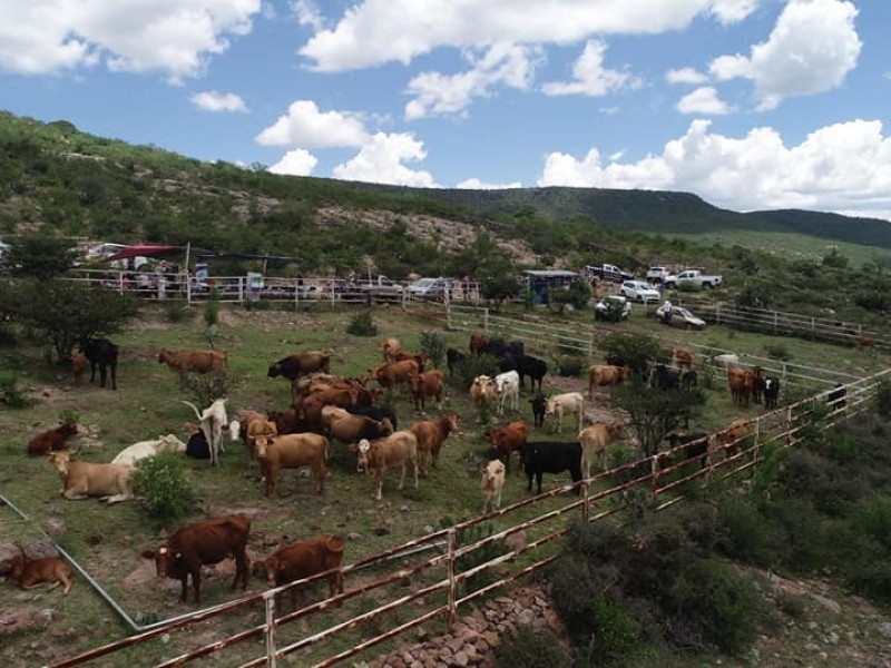 Veterinario en tu Potrero, proyecto que fortalece el desarrollo rural