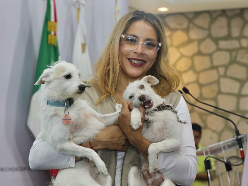 Veterinarios también recibirán boletos para Chayanne, por esterilizaciones