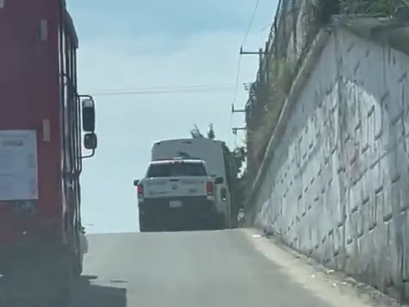 VIDEO: Ciudadanos ´Bahiabanderenses' denuncian maltrato animal de policías turísticos