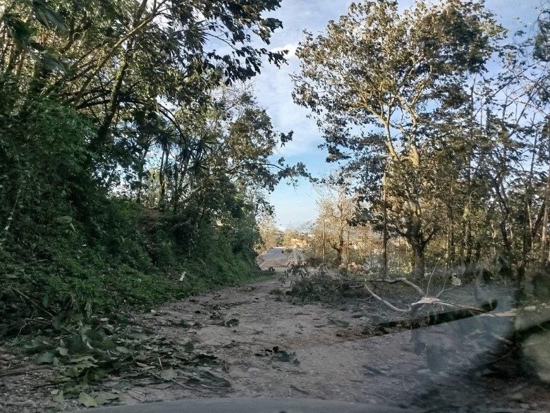 Vientos dejan sin energía y daños en Yucuhiti