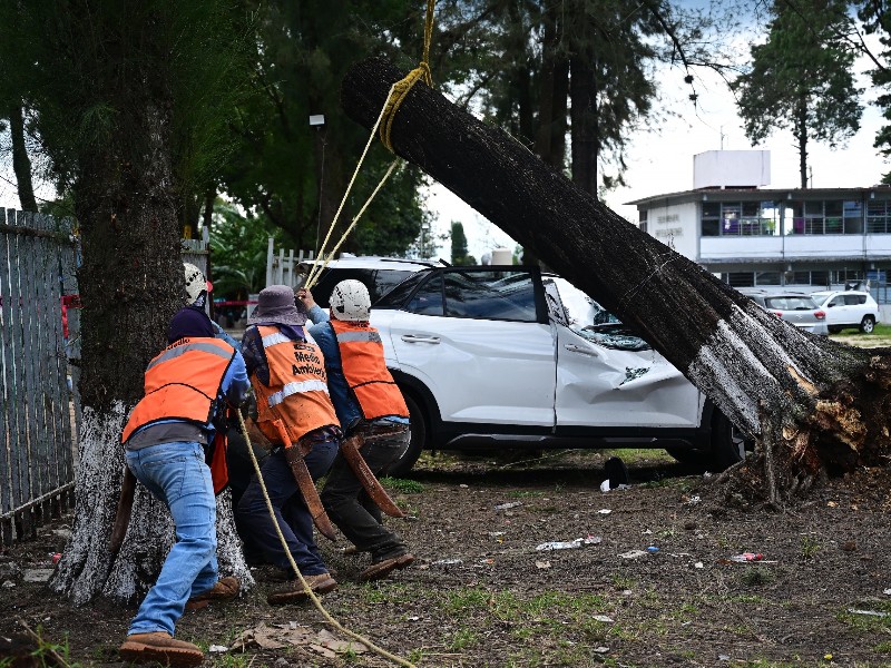 Vientos del “norte” afectaron 28 colonias en Xalapa Vientos del “norte” afectaron 28 colonias en Xalapa