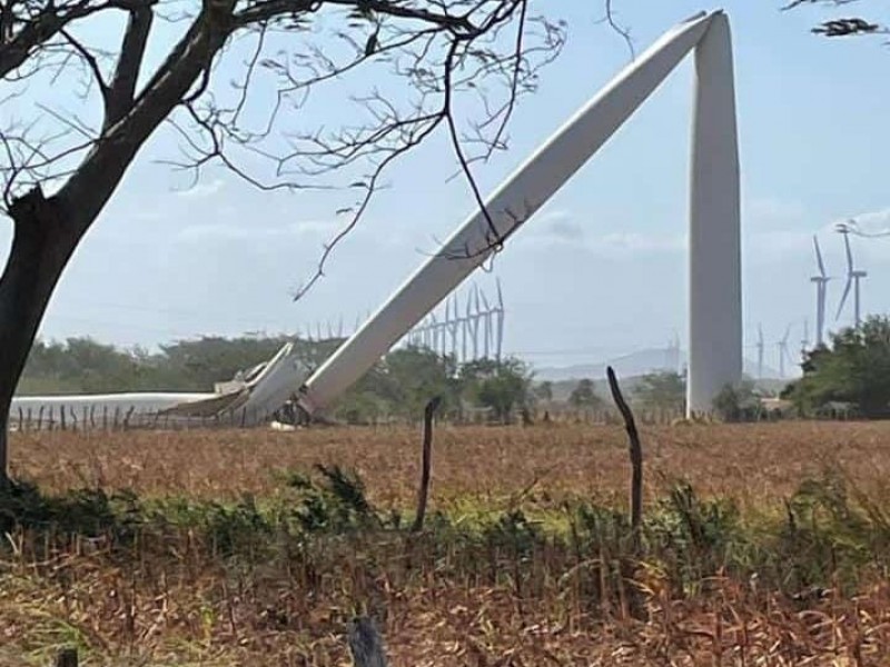 Vientos fuertes derriban traíler y un aerogenerador