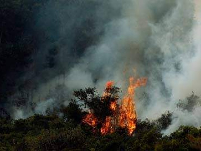 Vientos propician posibles incendios forestales